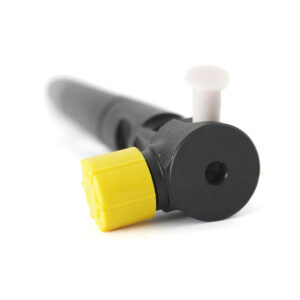 Inyector Delphi R00301D | Ssangyong Actyon | A6710170121