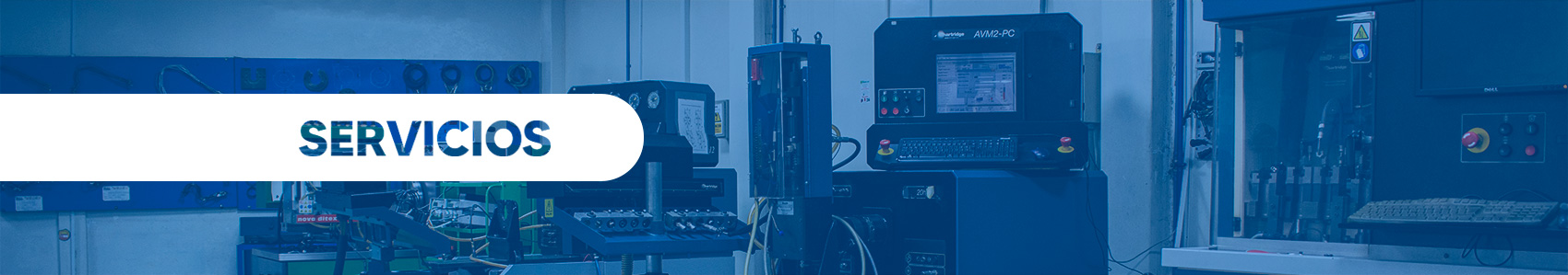 Servicios